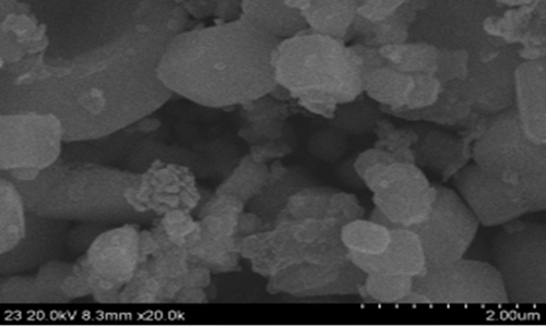 微米級(jí)CeB6的SEM照片 