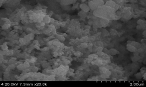 納米級(jí)CeB6的SEM照片