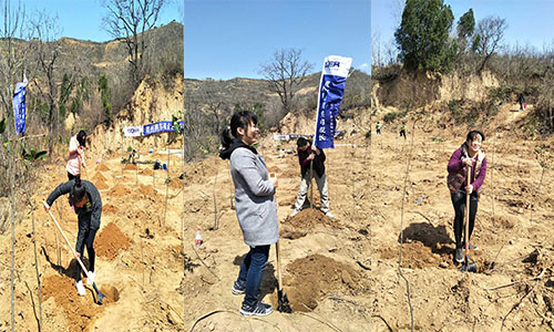 得爾硼業(yè)植樹活動