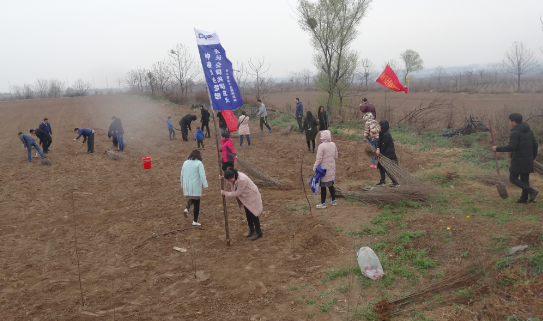 得爾硼業(yè)植樹