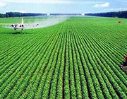 農(nóng)肥農(nóng)藥