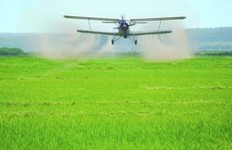 【河南】葉面肥如何選購硼酸