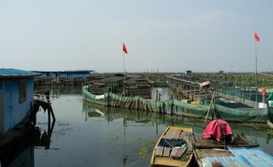 【江蘇】水產(chǎn)養(yǎng)殖買進口俄羅斯硼酸到得爾