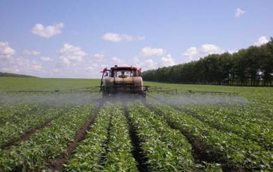 【安徽】用過才知道，農(nóng)用硼酸還是得爾硼業(yè)好!