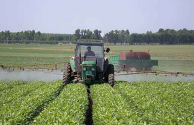 【河北】水溶肥廠新年開工用的硼酸
