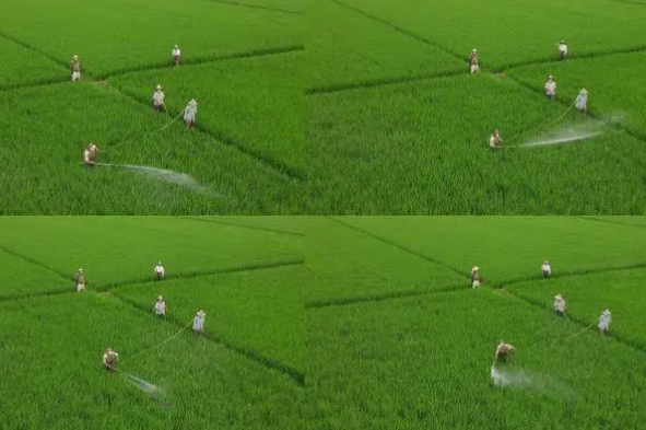 【山東】水溶肥使用的硼酸原料