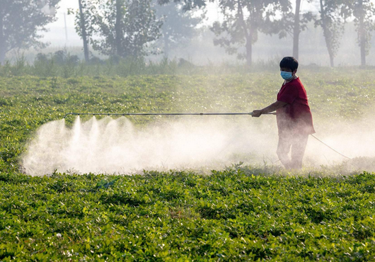 【陜西】葉面肥用的硼酸原料