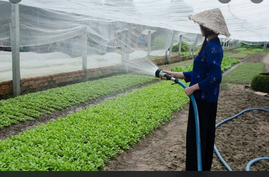 【河南】硼肥用的硼酸