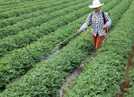 【山東】農(nóng)肥廠用硼酸原料