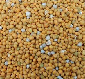 【湖北】復(fù)合肥廠用的硼酸