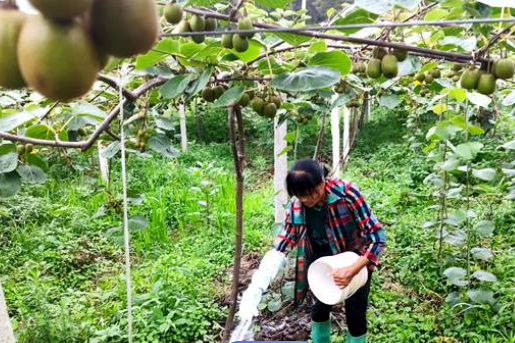 【陜西】肥料廠補(bǔ)貨農(nóng)用硼酸