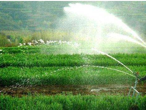 【安徽】農(nóng)肥用硼酸